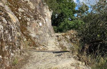 Ferienwohnungen Bauernschmause - Foto 44