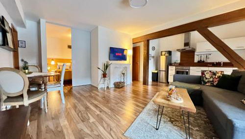 Gemütliches Studio Apartment in Kehl Goldscheuer - 1A Guesthouse - Foto 4