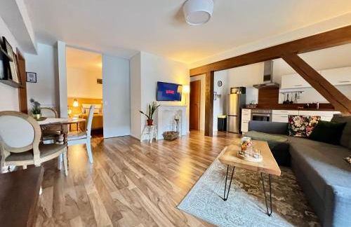 Gemütliches Studio Apartment in Kehl Goldscheuer - 1A Guesthouse - Foto 4