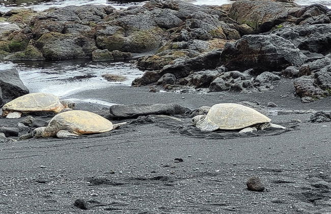 Sea Mountain - Foto 33