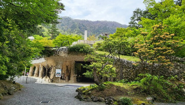 Tour privato in auto al Monte Fuji da Tokyo - Foto 5