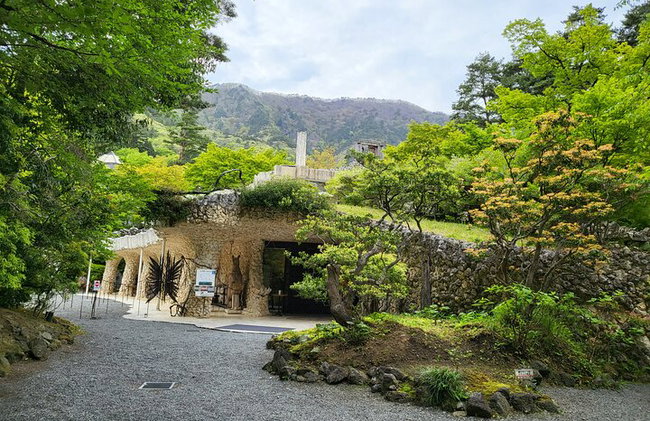 Tour privato in auto al Monte Fuji da Tokyo - Foto 5