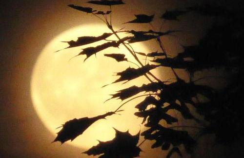 in die Ferien mit 16 Freunden - Foto 16