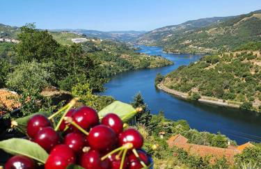 Douro Mesio Guest House - Foto 14