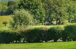 Manou du Lac Annecy - Foto 73