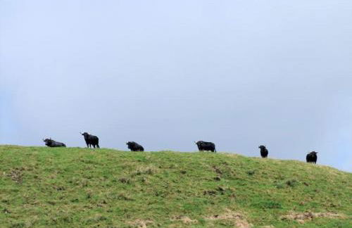 Vivenda Areias - Photo 49