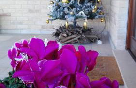 B&B CasalFarano - Foto 42