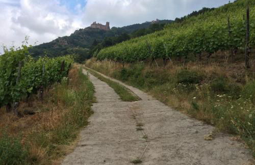 La Maison des Tanneurs - Foto 62
