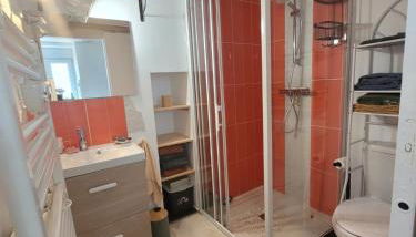 Maison d'hôte très calme plein centre ville jardin - Foto 4