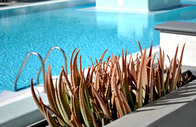 Mariposa del Sol - Foto 30