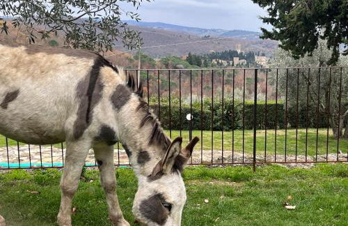 Il Fiorino di Badia - Foto 56