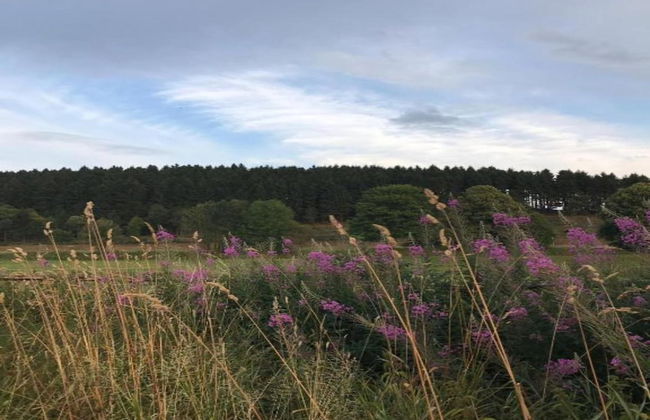 Terrace Retreat in Winterberg - Foto 35