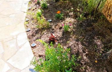 The house in nature SKG - Foto 36