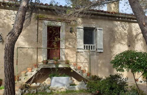 La Pinède - Foto 18