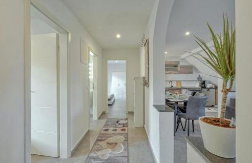 Seepferdchen - Foto 12