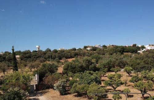 JB - Monte João Moleiro With Shared Pull - Photo 76