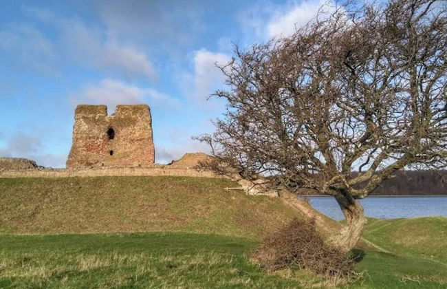 6 Person Holiday Home in Ronde - Foto 33