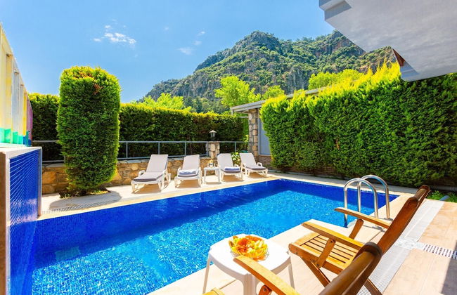 Villa Deniz Paradise - Photo 53