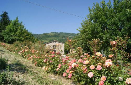 Agriturismo Corte Dei Mori - Photo 14