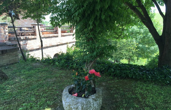 Cascina Il Bricco - Photo 38