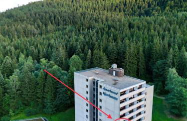 Appartement Schwarzwald-Living - Foto 29