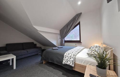 Apartament Studio - Willa Lawenda - Foto 9