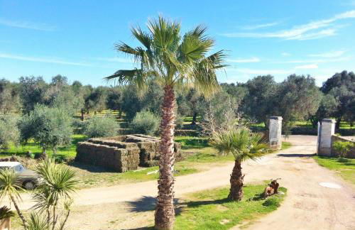 Agriturismo La Crianza - Foto 17