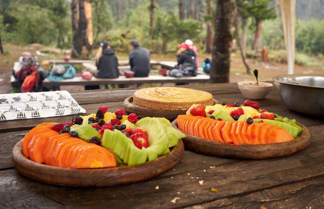 Peña del Rey Hiking Tour - Photo 5