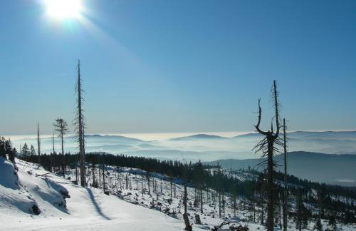 Landhaus Wildfeuer - Foto 12