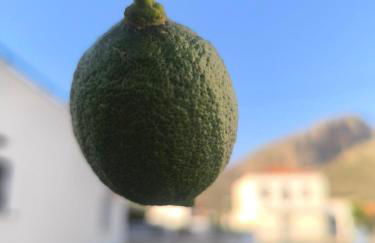 Εξοχική Μονοκατοικία με αυλή και εξωτερική αποθήκη-Country house with yard and external warehouse - Foto 58