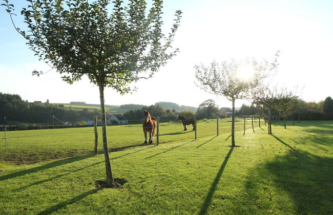 Elegant Estate Stay, Maredsous - Foto 27