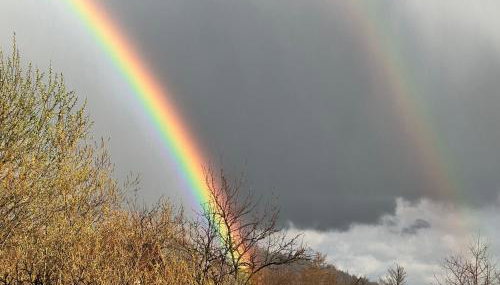 BESKIDIUM - uroczy dom Brenna - Foto 5