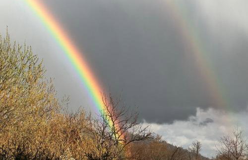 BESKIDIUM - uroczy dom Brenna - Foto 5