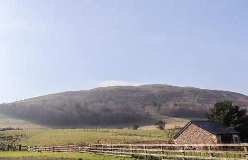 Bizzie Lizzie - Photo 59