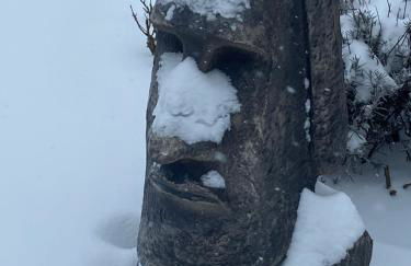 Studio mit Blick ins Grüne - Foto 17