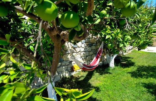 Pithari Villa - Foto 34