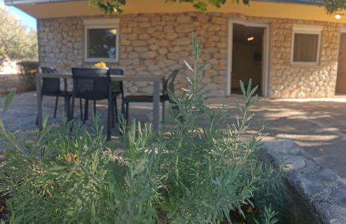 Robinson's house - Foto 9