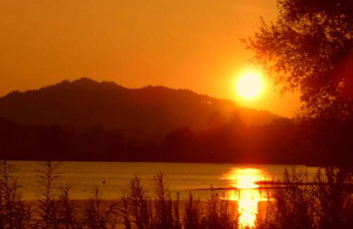 Haus Forggensee - Foto 23