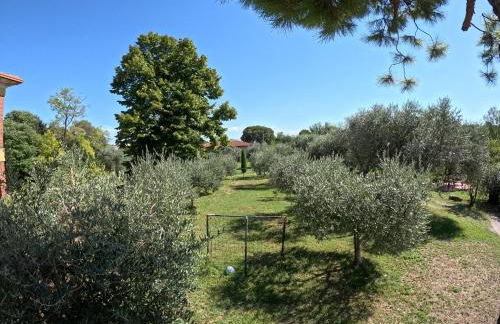 Agriturismo Gardenali - Foto 40