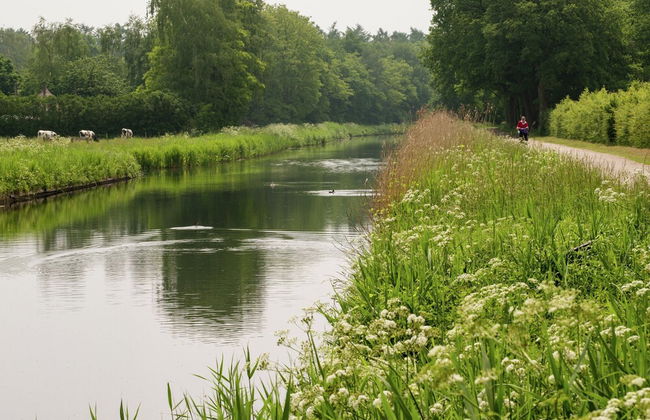 Holiday Home in Heeten Near Forest Trails - Photo 31