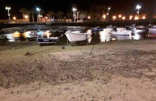 Las 3 Palmeras de Arrecife - Foto 30