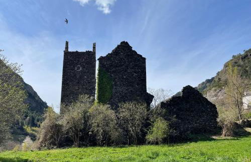 CALMFRANC ático abuhardillado con vistas al río y la montaña Avistamiento de ciervos en Canfranc Pueblo - Foto 56