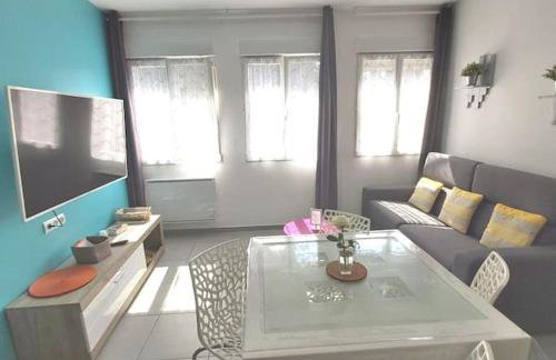 gîte en rdc A 200 m tgv et de la fac A 400 m des places 250 places de parking face au logement - Foto 8