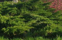 Chez Grand Maman - Foto 26