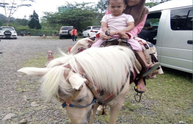 Villa Sasky Ciater Highland - Foto 29