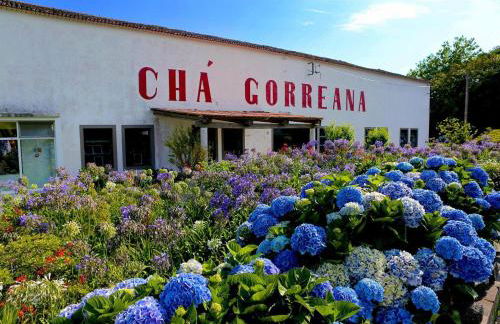 Esperança House 2 - Photo 29