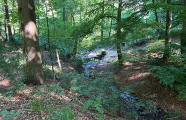 Dagmar 120qm 3 Schlafzimmer Wellness - Foto 25