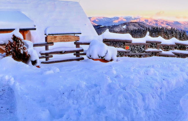 Chalet in Bad Leonhard Near Klippitztorl Slopes - Foto 30