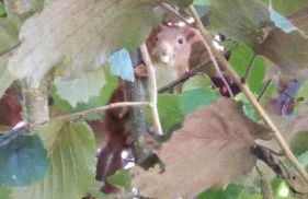 Ferienwohnung Noeska 85020 - Foto 17