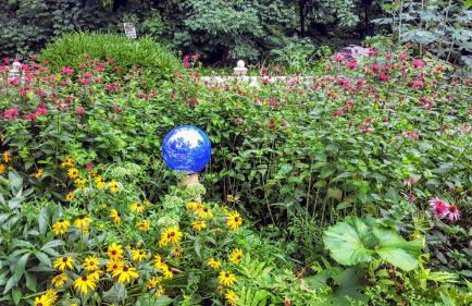 Play All Day - Sleep By The Stream at Night - Swimming Hole - Foto 3